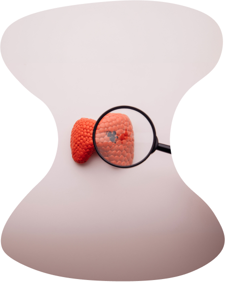 Endocrine gland examination with a magnifying glass.